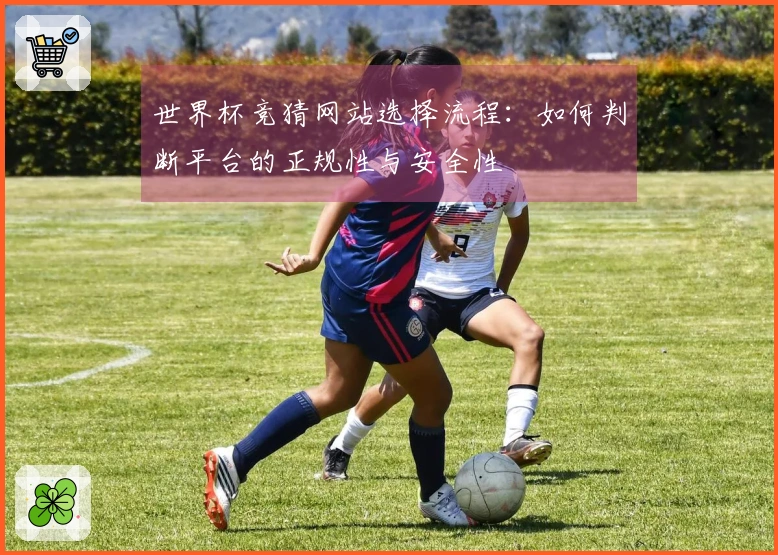 世界杯竞猜网站选择流程：如何判断平台的正规性与安全性