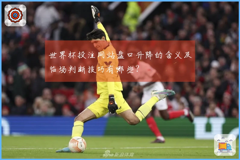 世界杯投注网站盘口升降的含义及临场判断技巧有哪些？