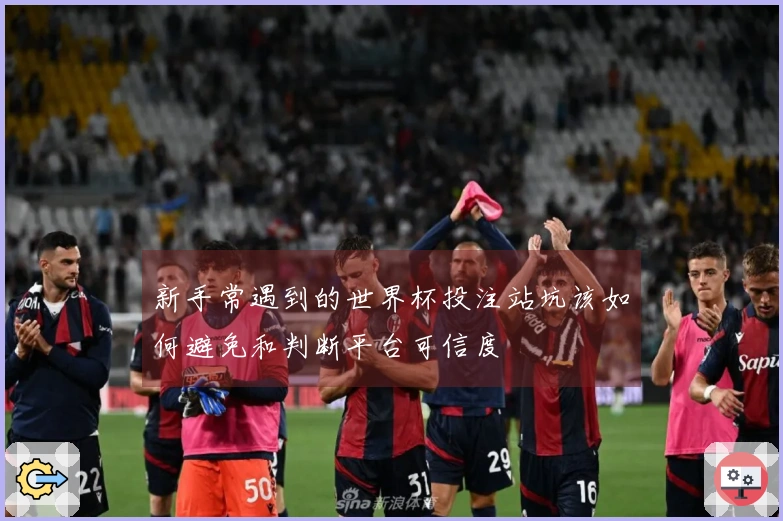新手常遇到的世界杯投注站坑该如何避免和判断平台可信度