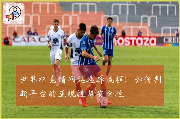 世界杯竞猜网站选择流程：如何判断平台的正规性与安全性