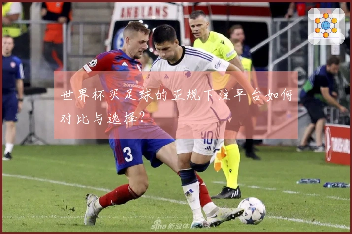 世界杯买足球的正规下注平台如何对比与选择？