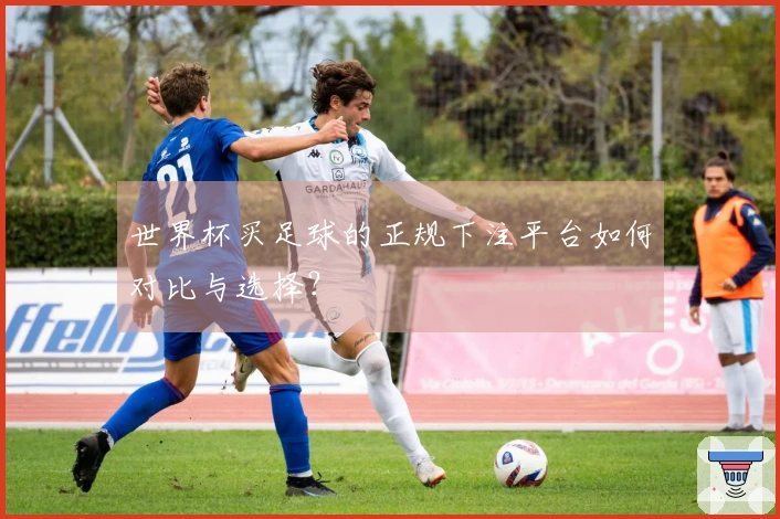 世界杯买足球的正规下注平台如何对比与选择？