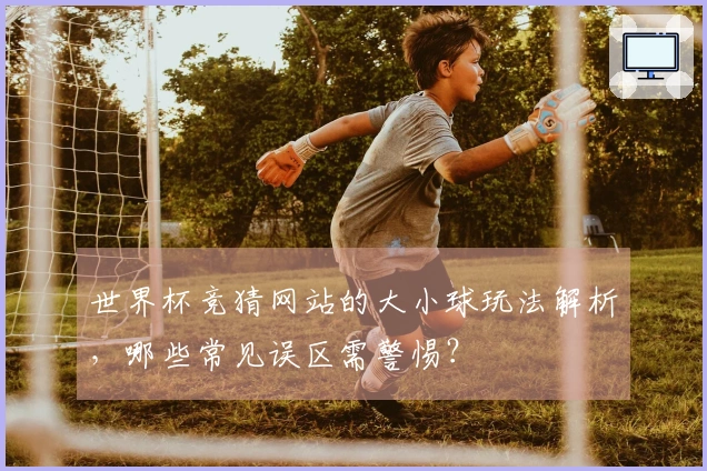 世界杯竞猜网站的大小球玩法解析，哪些常见误区需警惕？