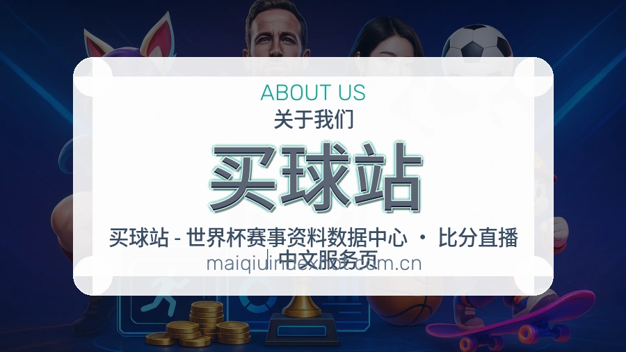 买球站平台愿景与服务界限
